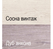 Двухстворчатый шкаф для одежды Монако 2DG2S